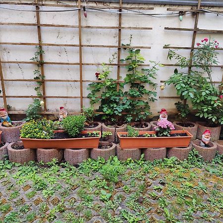 Ferienwohnung Alte Stadtmauer Μπάμπεργκ Εξωτερικό φωτογραφία